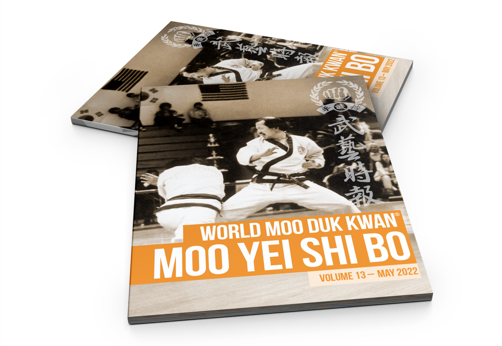 Moo Yei Shi Bo Volume 13